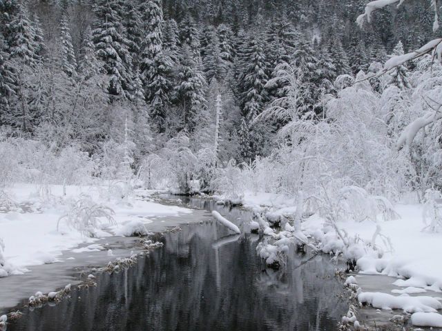 По дороге на Домбай