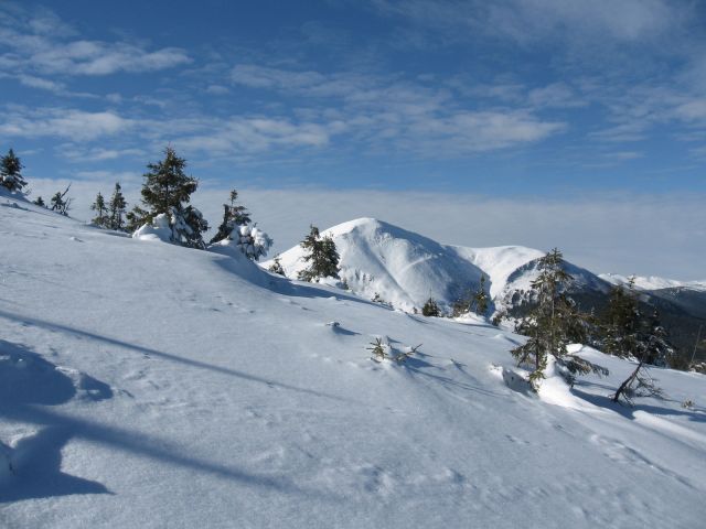 IMG_7409.jpg