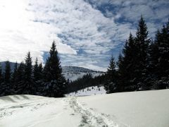 IMG_7378-1.jpg