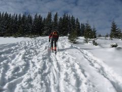 IMG_7371.jpg