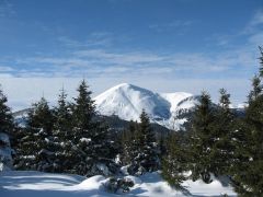 IMG_7396.jpg