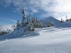 IMG_7425.jpg