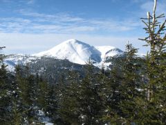 IMG_7404.jpg