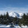 IMG_7396.jpg