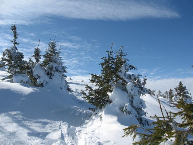 IMG_7431.jpg