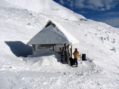 IMG_7453.jpg