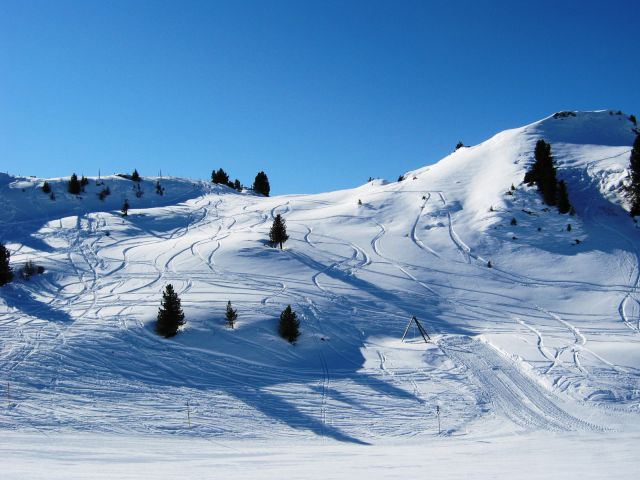 IMG_0184.JPG