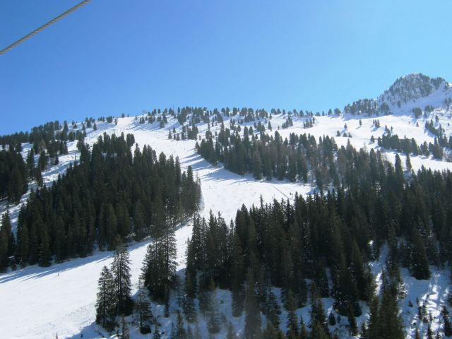 IMG_0096.JPG