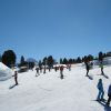 IMG_0095.JPG