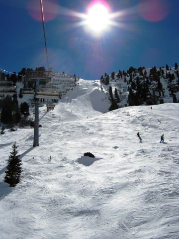 IMG_0334.JPG