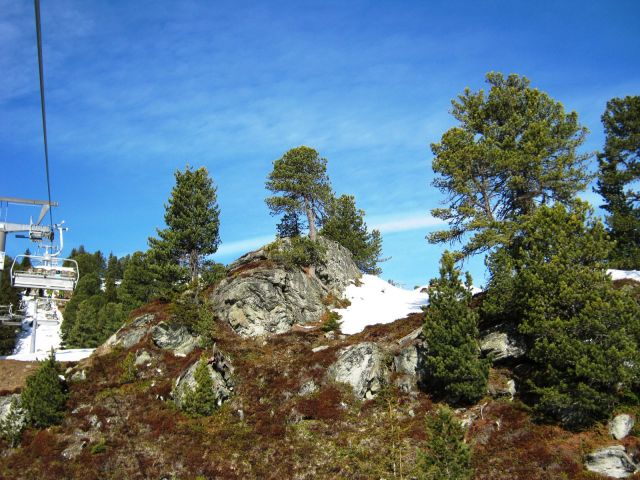 IMG_0631.JPG