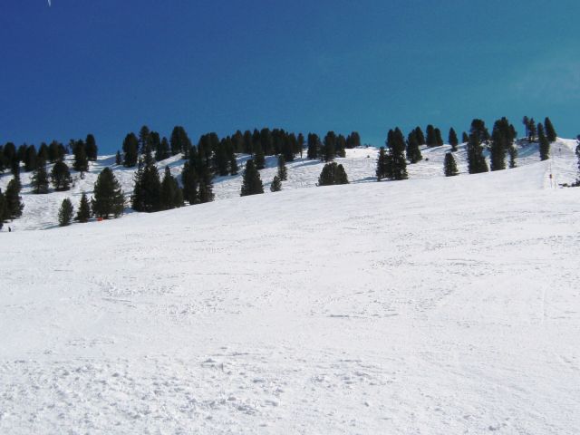 IMG_0683.JPG