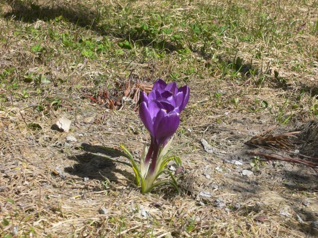 P1150524.JPG