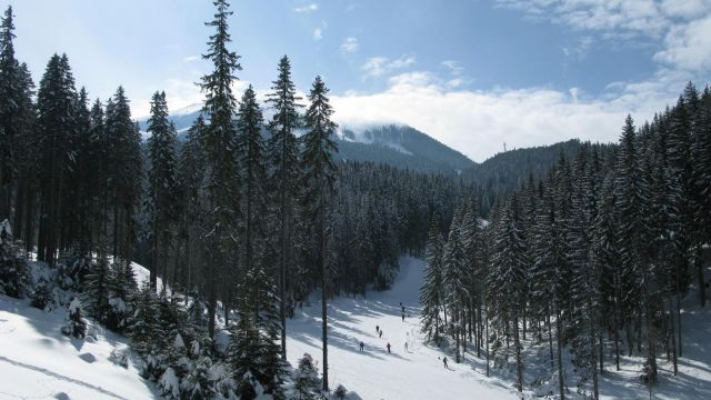 165.JPG