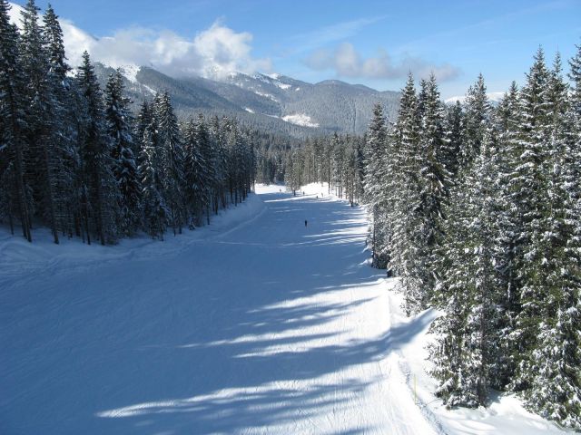 53.JPG