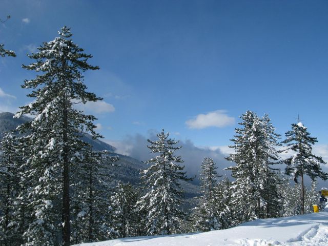 136.JPG