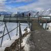 IMG_2699.jpg
