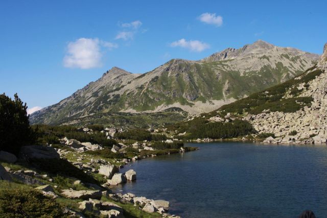 _MG_9142.jpg