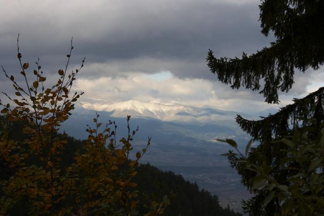 _MG_2395.jpg