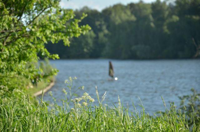 DSC_2521_resize.JPG