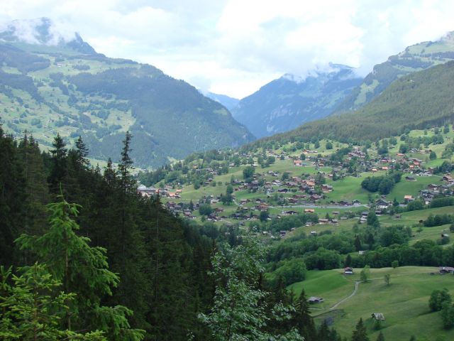 DSC03355.jpg