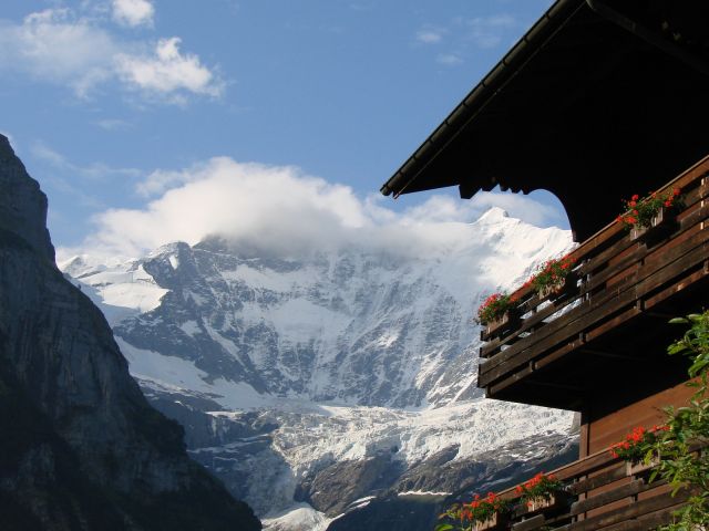 DSC03056.jpg