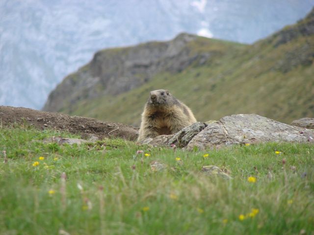 DSC03524.jpg