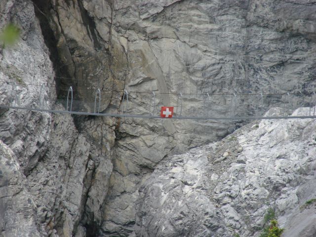 DSC03342.jpg