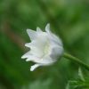 DSC03362.jpg