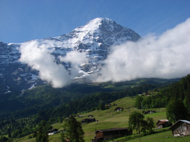 DSC03944.jpg