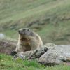DSC03527.jpg