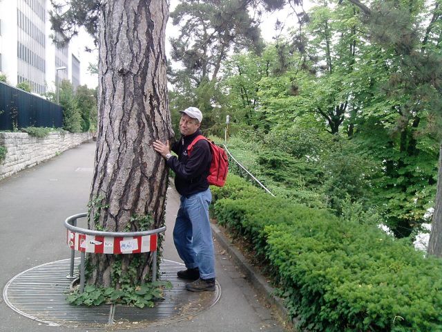 P090611_16.31.jpg