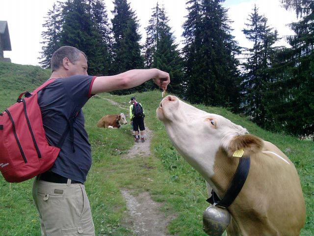 P060611_12.10.jpg
