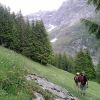 P100611_15.38_[02].jpg