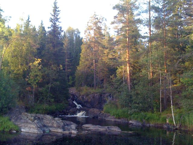 IMG_0274.JPG
