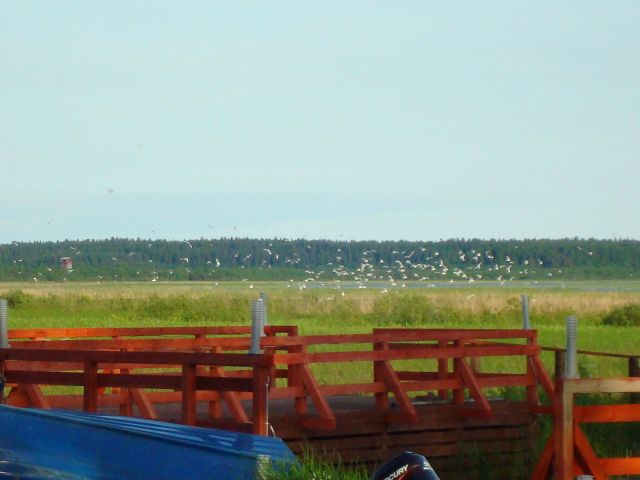 DSC06841.JPG