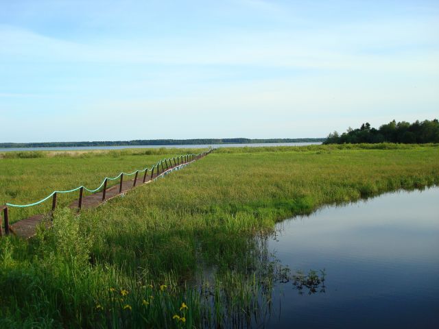 DSC06845.JPG