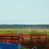 DSC06841.JPG