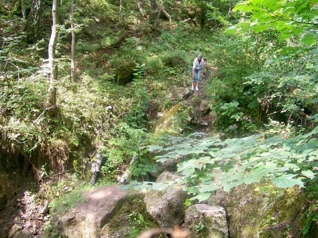 100_5037.JPG