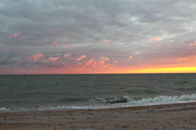 IMG_1227.JPG