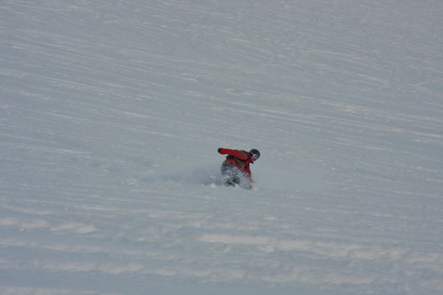 IMG_7931.jpg