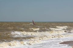 IMG_1336.JPG