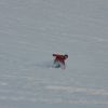 IMG_7931.jpg