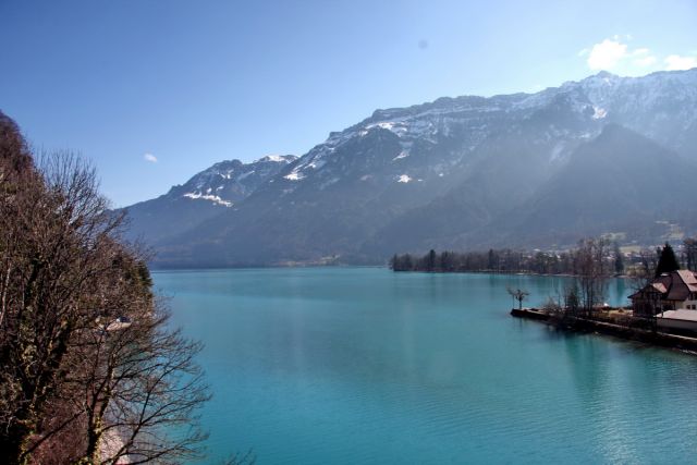 IMG_8461.jpg