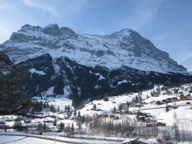 IMG_0553.jpg