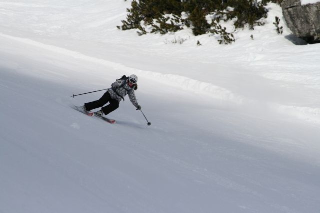 IMG_8254.JPG