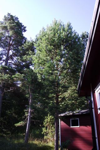 DSCF4093.JPG