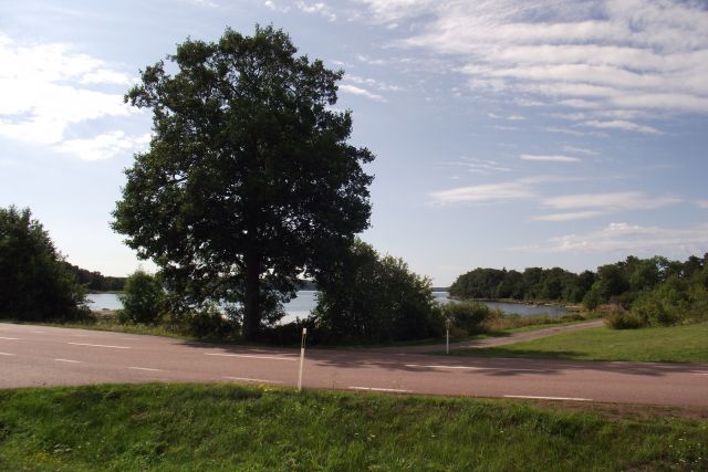 DSCF4040.JPG