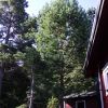 DSCF4093.JPG