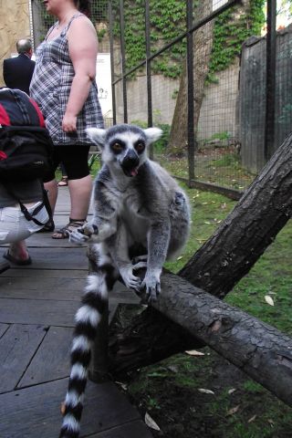 DSCF4224.JPG
